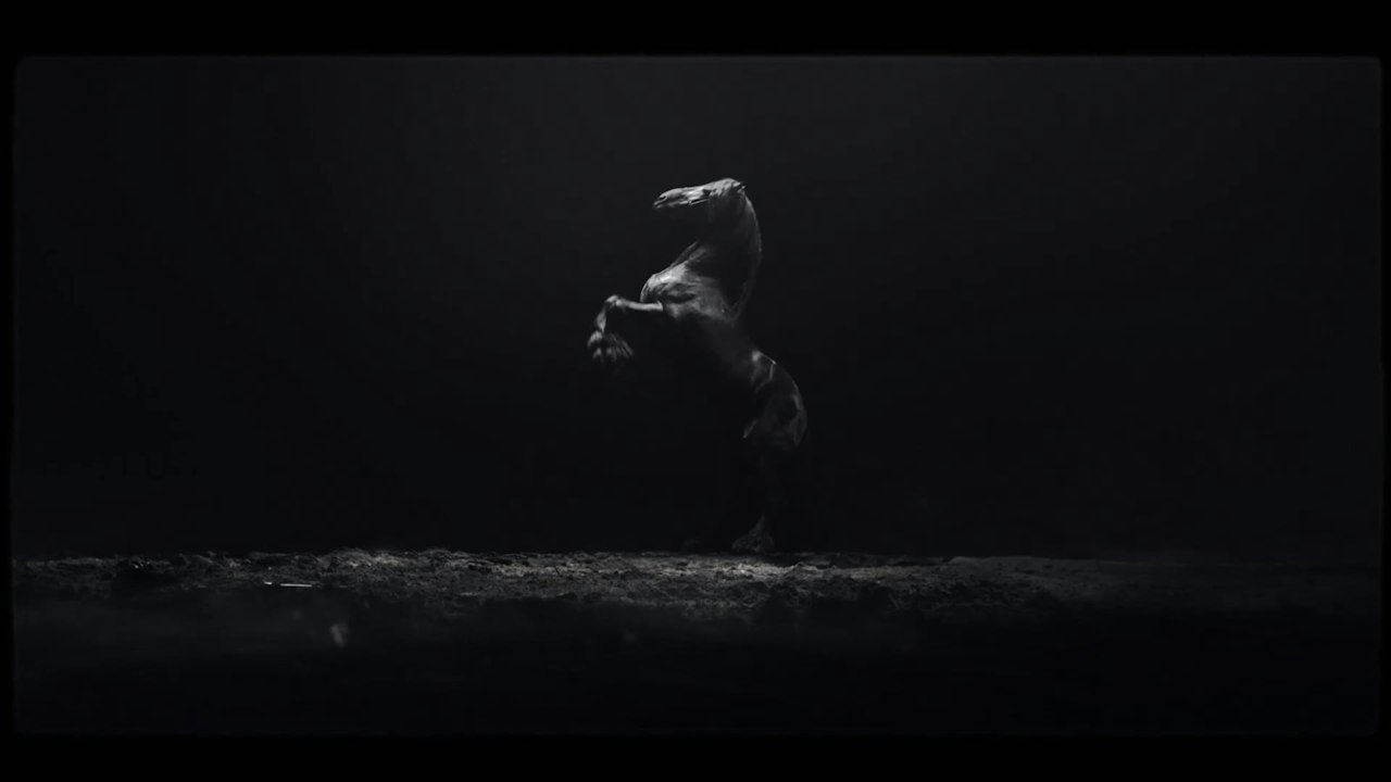 MOVIE - S10 - ANIMAIS DA NOITE